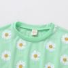 imageYOUNGER TREE Kids Toddler Baby Girls Shorts Outfits Set Leopard Print Ruffle TShirt Tops Short Pants Summer Clothes SetGreen Daisies