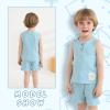 imageYOUNGER TREE Toddler Baby Boy Clothes Cotton Dinosaur Summer Outfits Tank Tops Short SetsGrayish Blue