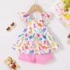 imageYOUNGER TREE Toddler Baby Girl Clothes Sleeveless Ruffle Bowknot Dress Top Shorts Set Summer Outfits for Little Kids GirlsDinopink Shorts