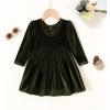 imageYOUNGER TREE Toddler Fall Dress Girl Winter Clothes Long Sleeve Velvet Dresses Princess Party OutfitsDeep Green Dress