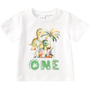 imageYOUNGER TREE Baby Boy Clothes 1 Year Old Boy Clothes First Birthday Outfit Boy Short Sleeve TShirt Infant Boy Summer OutfitsOne Dinosaur