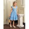 imageToddler Baby Girls Dress Floral Embroidered Boho Sleeveless Beach Butterfly SundressBlue and Flower