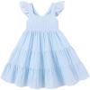 Blue Stripe