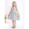 imageYOUNGER TREE 15T Toddler Kids Girls Summer Dress Sling Blue Floral Casual Dress Pattern Girls Party Dress SleevelessBlue Floralb