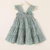 imageKids Toddler Baby Girls Rainbow Dress Princess Sleeveless Beach Butterfly SundressGreen Floral Dress