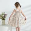 imageKids Toddler Baby Girls Rainbow Dress Princess Sleeveless Beach Butterfly SundressKhaki