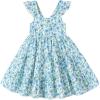 Toddler Blue Floral Dress