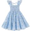 imageYOUNGER TREE Toddler Girl Dress Kids Sleeveless Ruffle Dresses for Girls Summer Outfits Beach SundressBlue Ruffles Flowes