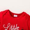 imageYOUNGER TREE Baby Girl 1st Birthday Outfit  My First Birthday Romper ampamp Flared PantsLittle One Ladybug