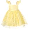 Yellow Daisy