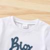 imageYOUNGER TREE Toddler Baby Boy Summer Clothes Dinosaur TShirt and Shorts Boy Outfits 12 Months to 4TBig Bro