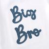 imageYOUNGER TREE Toddler Baby Boy Summer Clothes Dinosaur TShirt and Shorts Boy Outfits 12 Months to 4TBig Bro